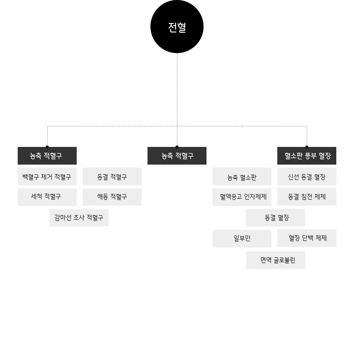 헌혈상식2